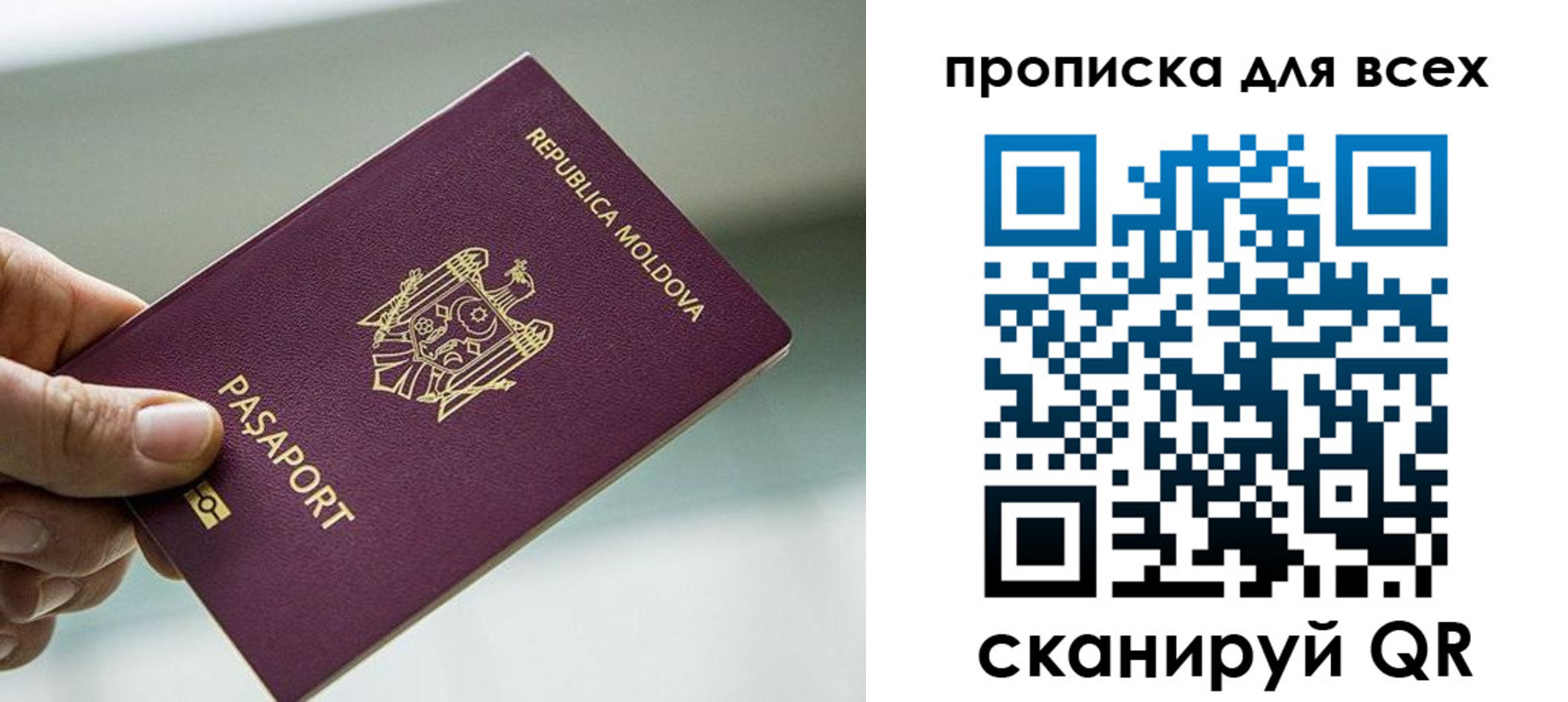 прописка иностранных граждан в Алексине